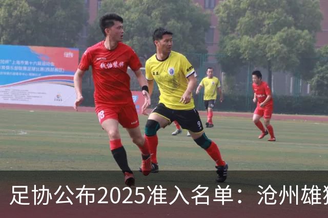 足协公布2025准入名单：沧州雄狮、广州队无缘