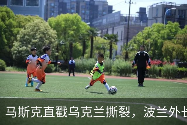 马斯克直戳乌克兰撕裂，波兰外长鸡贼回应